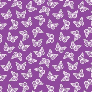 Purple Butterfly Wallpaper Data Src Gorgerous Purple  Desktop Wallpaper  Purple Butterflies  2560x1440 Wallpaper  teahubio