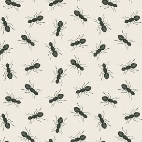 ants pattern