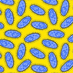 Blue bacteria on yellow