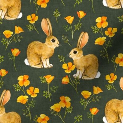 California Poppies and Cottontail Bunnies - dark green grey