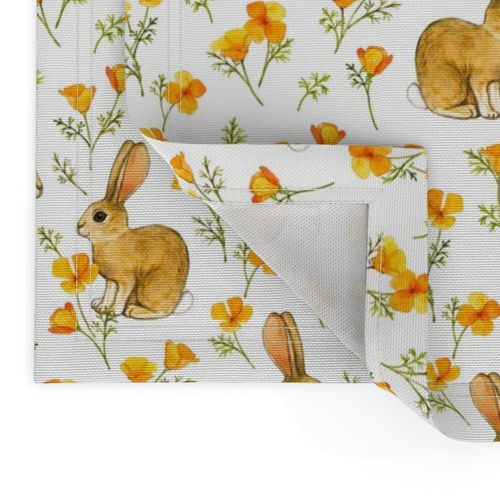 California Poppies and Cottontail Bunnies on white