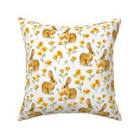 California Poppies and Cottontail Bunnies on white