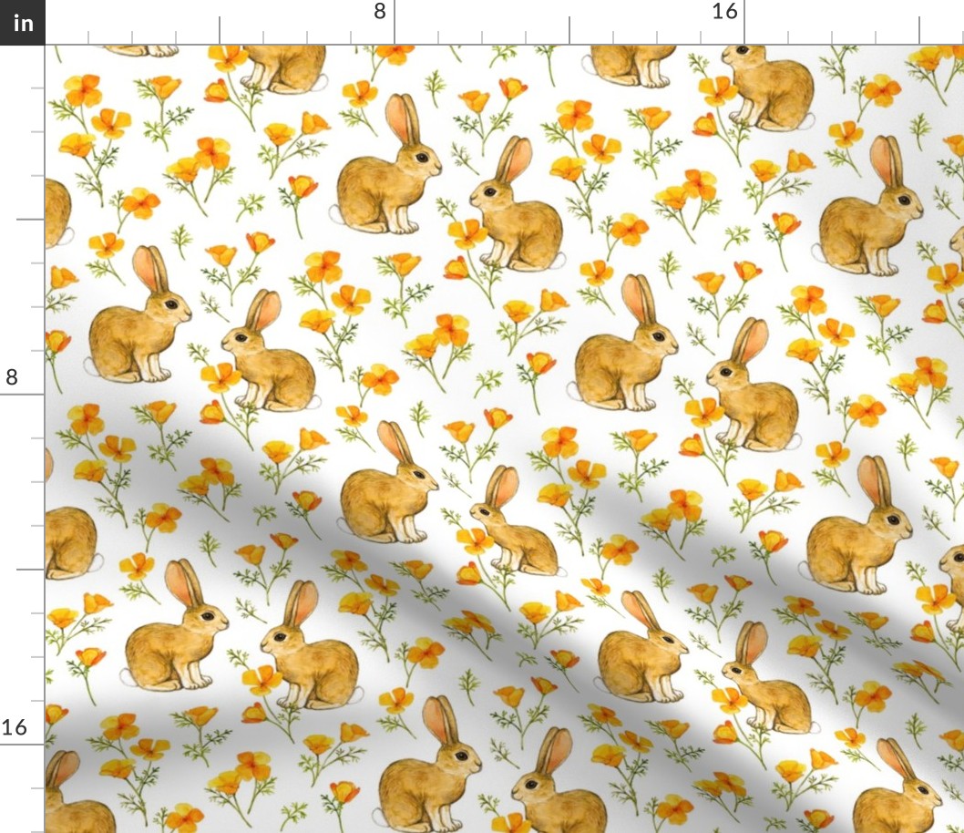 California Poppies and Cottontail Bunnies on white