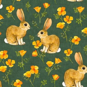 California Poppies and Cottontail Bunnies - hunter green