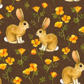 California Poppies and Cottontail Bunnies - warm brown