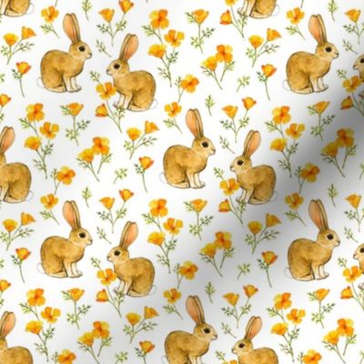 California Poppies and Cottontail Bunnies on white, tiny
