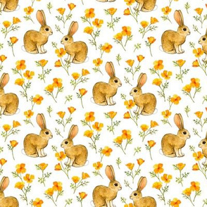 California Poppies and Cottontail Bunnies on white, tiny