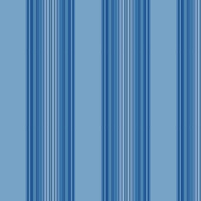 Blue Broad Stripe © Gingezel™ 2012