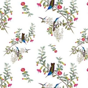 HUMMINGBIRD GARDEN - HUMMINGBIRD COLLECTION (WHITE)