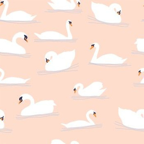 Swans on Peach