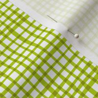 Farmtasia Gingham Green