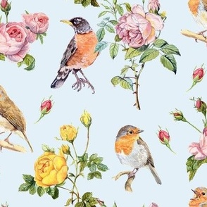 Roses and Robins