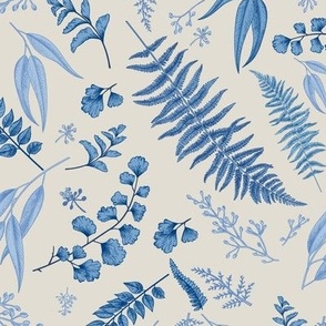 botanical ferns in navys on natural white