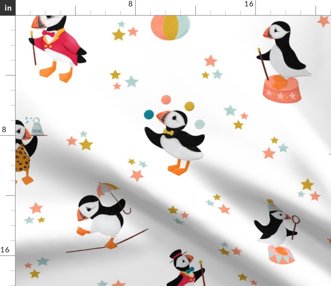 A Circus of Puffins | White Large Scale