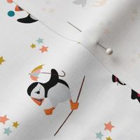 A Circus of Puffins | White Small Scale