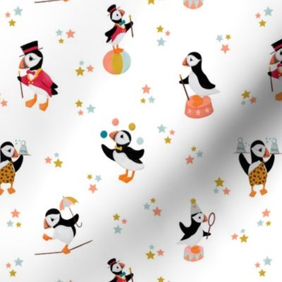 A Circus of Puffins | White Small Scale