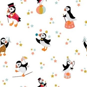 A Circus of Puffins | White Small Scale