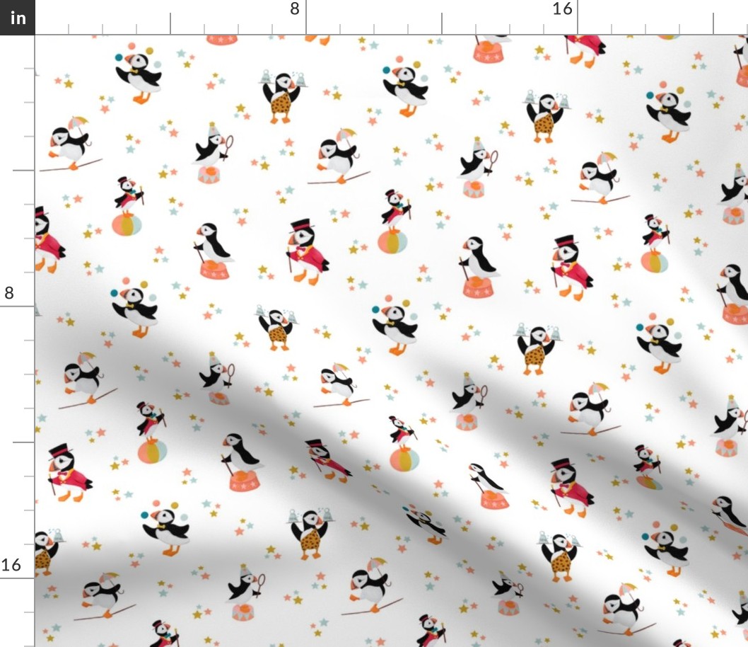 A Circus of Puffins | White Small Scale