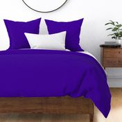 solid purple sky  blue-violet (#400095)