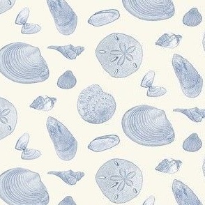 Seashells  Blue on Beige