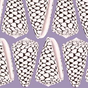 Cone Shells Triangles with Lavender Background