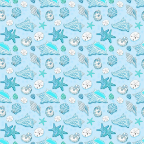 shells baby blue 6x6