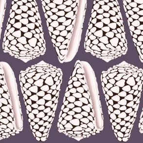 Cone Shells Triangles With Eggplant Background