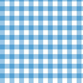 Light Blue Gingham Plaid Check Pattern Straight-01