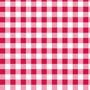 Red Gingham Plaid Check Pattern Straight-01