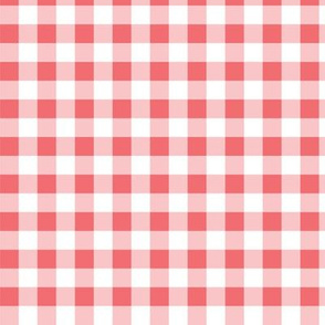 Coral Gingham Plaid Check Pattern Straight-01