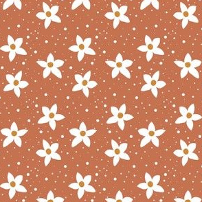 sienna daisies