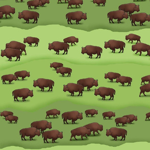 Where the Buffalo Roam