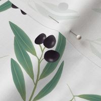 Fresh Olives on White