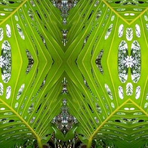 Tropical Boho Leafy Screen (#1) of Fresh Green