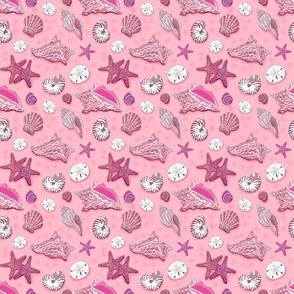 shells pink 6x6
