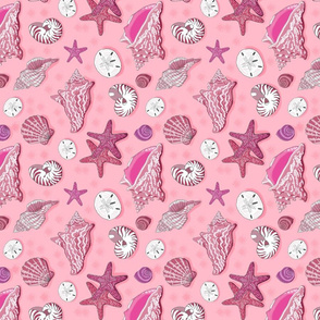 shells pink 8x8 sideways