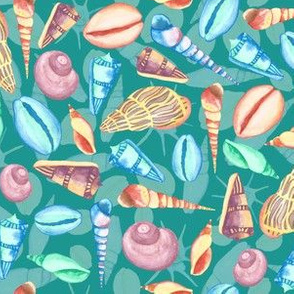 watercolor seashells middle scale