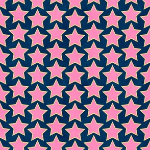 Groovy Pink Stars (navy) 9"