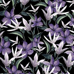Night Clematis, Purple flowers on a black background, Medium scale
