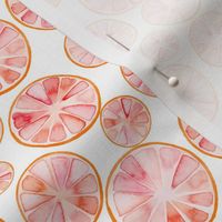 Small / Watercolor Grapefruit