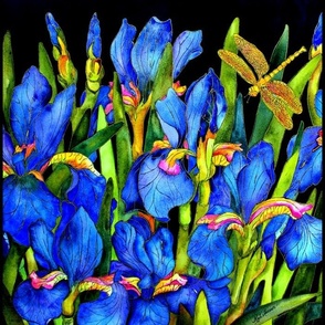 905. Mini Blue Iris