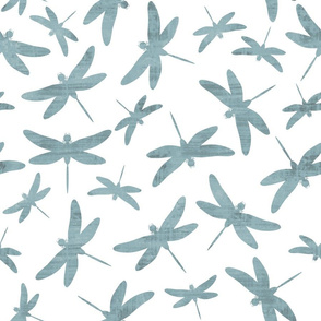 Gray Dragonflies On White