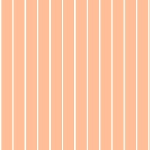 Classic Pinstripe Peach Fuzz Pantone Color of the Year 2024 pantonecoty2024