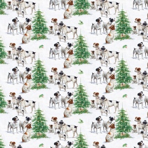 Dogs and puppies around christmas tree