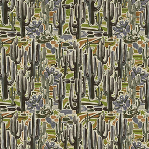 Lotsa cactus
