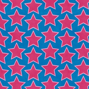 Groovy Raspberry Stars (French blue) 6"small