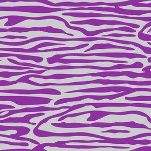 Zebra Print  - bright purple 