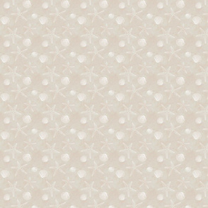 White seashells and starfish on beige sand