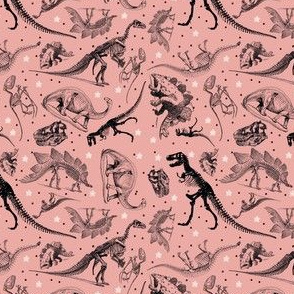 Dinosaurs and Stars on Peachy Pink
