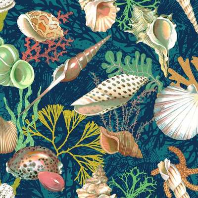 Sea Shells Fabric, Wallpaper and Home Decor | Spoonflower